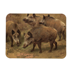 Magnet Flexible Quatre voitures dans un paysage français (par Rosa