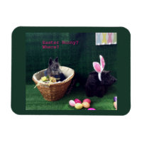 Quel Lapin
