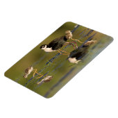 Magnet Flexible Quels poussins mignons  (Côté Gauche)