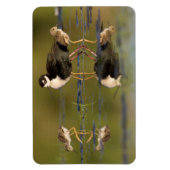 Magnet Flexible Quels poussins mignons  (Vertical)