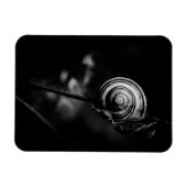 Magnet Flexible queue de l'escargot (Horizontal)