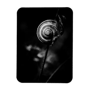Magnet Flexible queue de l'escargot