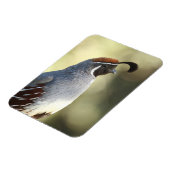 Magnet Flexible Queue masculine (Côté Gauche)