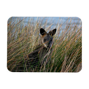 Magnet Flexible Qui es-tu ?