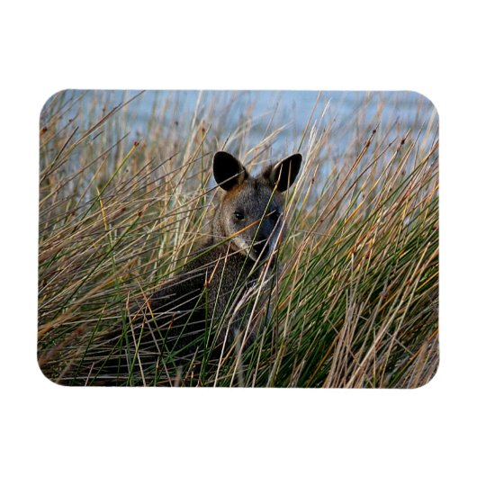 Magnet Flexible Qui es-tu ? (Horizontal)