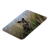 Magnet Flexible Qui es-tu ? (Côté Gauche)