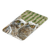 Magnet Flexible Qui est là, Pair of Owl's (Côté Gauche)