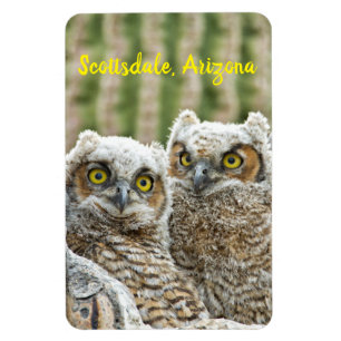 Magnet Flexible Qui est là ? Paire de Owl's Scottsdale, Arizona