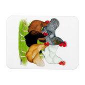 Magnet Flexible Quintette de poulet liée au sexe (Horizontal)