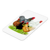 Magnet Flexible Quintette de poulet liée au sexe (Côté Gauche)