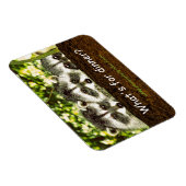 Magnet Flexible Qu'y a-t-il pour le dîner ? Aimant frigo raccoon. (Côté Droit)