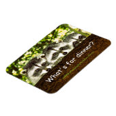 Magnet Flexible Qu'y a-t-il pour le dîner ? Aimant frigo raccoon. (Côté Gauche)