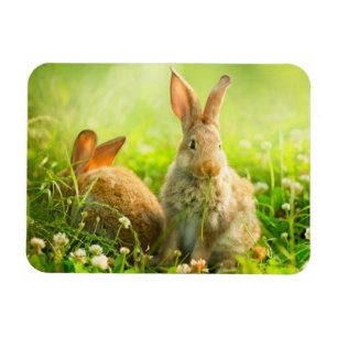 Magnet Flexible Rabbits d'Easter