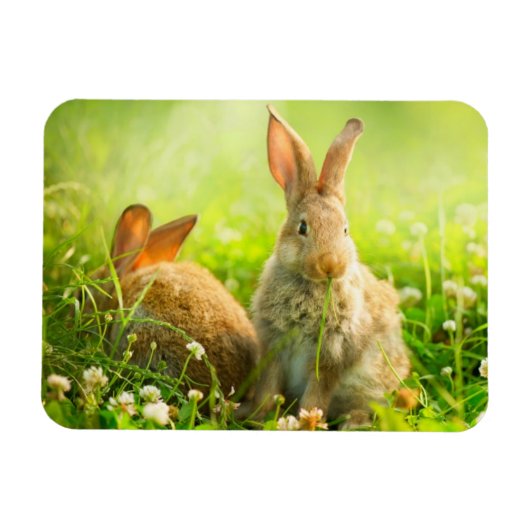 Magnet Flexible Rabbits d'Easter (Horizontal)