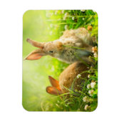 Magnet Flexible Rabbits d'Easter (Vertical)