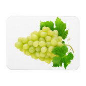 Magnet Flexible Raisin blanc (Horizontal)