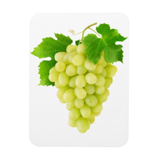 Magnet Flexible Raisin blanc (Vertical)