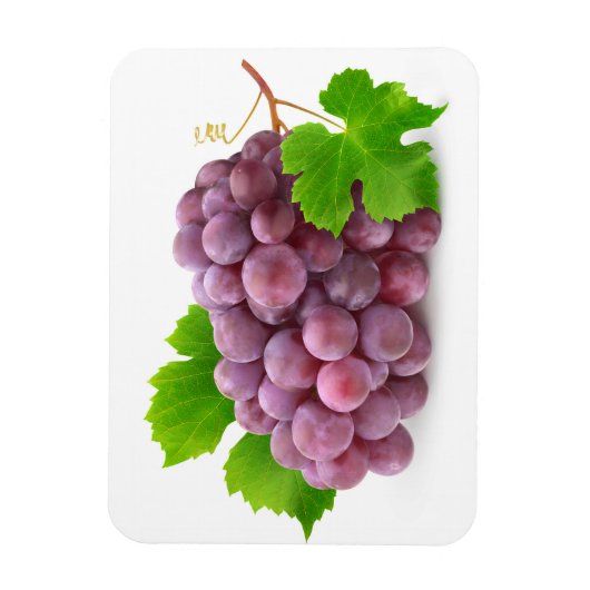 Magnet Flexible Raisin rouge (Vertical)