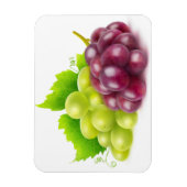 Magnet Flexible Raisins (Vertical)