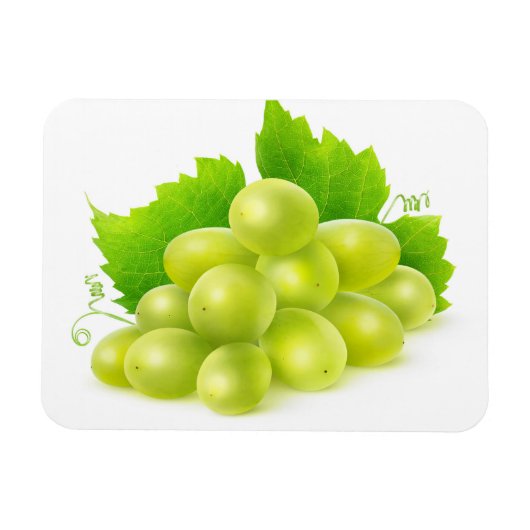 Magnet Flexible raisins blancs (Horizontal)