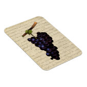 Magnet Flexible Raisins noirs vintages (Côté Droit)