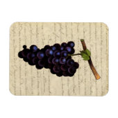 Magnet Flexible Raisins noirs vintages (Horizontal)