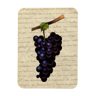 Magnet Flexible Raisins noirs vintages