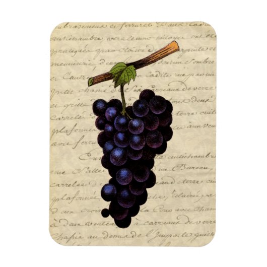 Magnet Flexible Raisins noirs vintages (Vertical)
