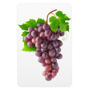 Magnet Flexible Raisins rouges