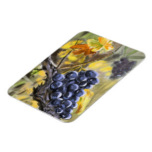 Magnet Flexible Raisins sur la souche de vigne, provence.