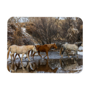 Magnet Flexible Ranch du cheval Hideout