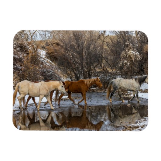 Magnet Flexible Ranch du cheval Hideout (Horizontal)