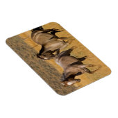 Magnet Flexible Ranch Living at The Ponderosa Ranch (Côté Droit)