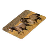 Magnet Flexible Ranch Living at The Ponderosa Ranch (Côté Gauche)