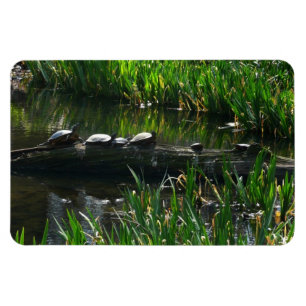 Magnet Flexible Rangée de tortues photo de la nature verte