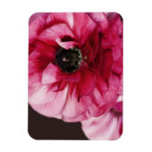 Magnet Flexible Ranunculus rouge (Vertical)