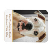 Magnet Flexible Rappel de l'adoption de l'animal de compagnie Magn (Horizontal)