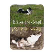 Rappel de lave-vaisselle, Propre vs sale, personna