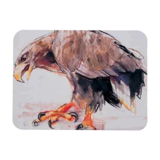 Magnet Flexible Raptor 2001 (Horizontal)