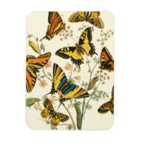 Rassemblement coloré de papillons et de chenilles