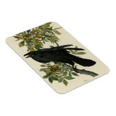 Magnet Flexible Raven (Côté Droit)
