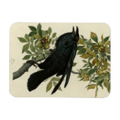 Magnet Flexible Raven (Horizontal)
