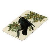 Magnet Flexible Raven (Côté Gauche)