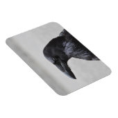 Magnet Flexible Raven le Magnifique ! (Côté Droit)