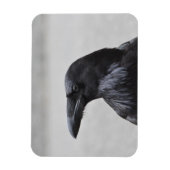 Magnet Flexible Raven le Magnifique ! (Vertical)