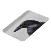 Magnet Flexible Raven le Magnifique ! (Côté Gauche)