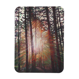 Magnet Flexible Rayon de soleil 2010