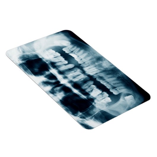 Magnet Flexible Rayon X des dents (Côté Droit)