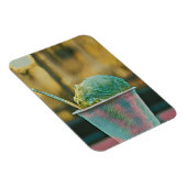 Magnet Flexible Recette de crème glacée (Côté Droit)