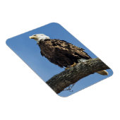 Magnet Flexible Recherche (Côté Droit)